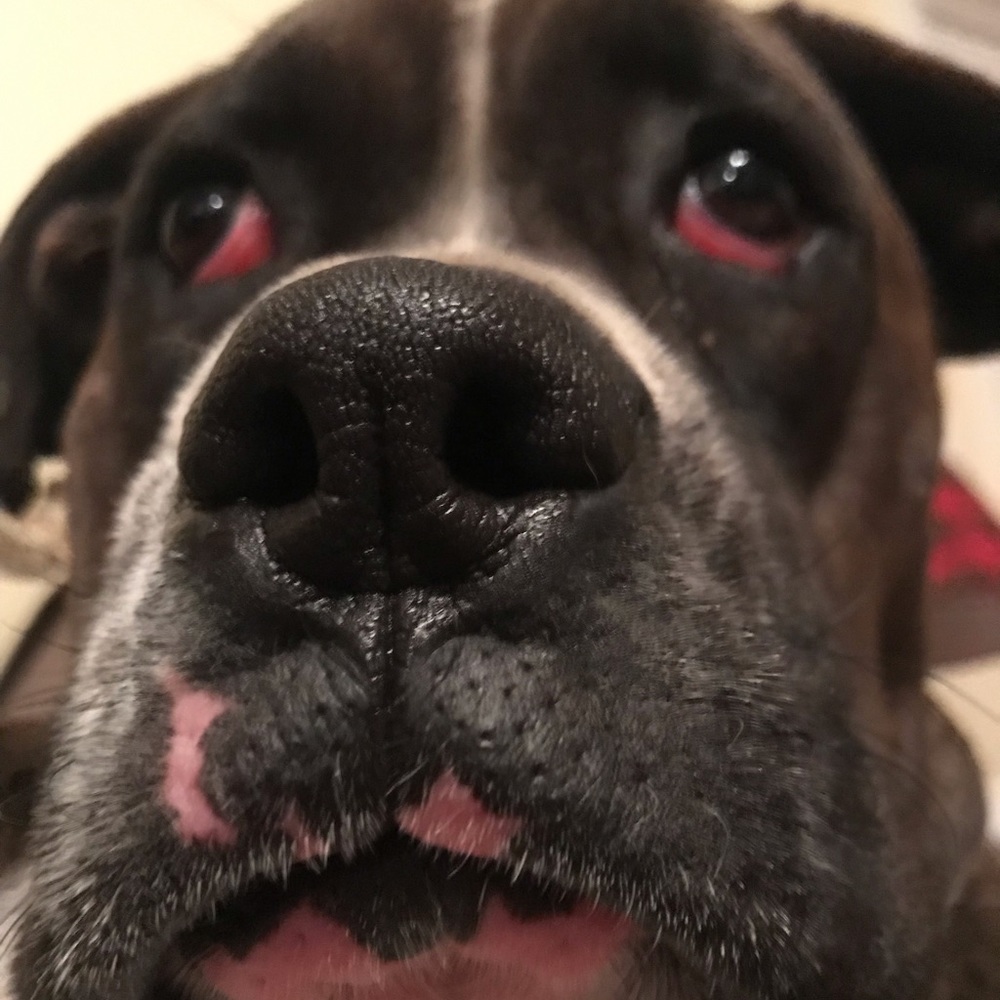 Meet your Posher, Brooke